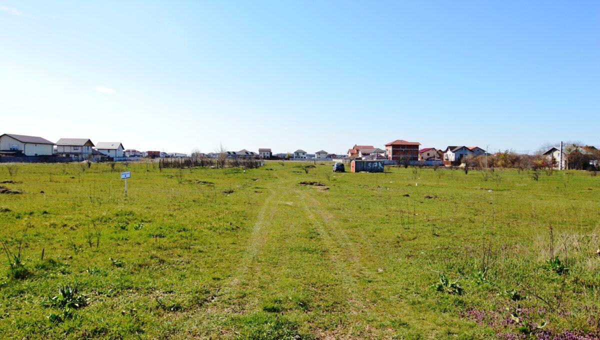 5-CRSImobiliare-Agentie-Imobiliara-Oferta-Vanzare-Teren-Dragomiresti Deal - Str. Republicii