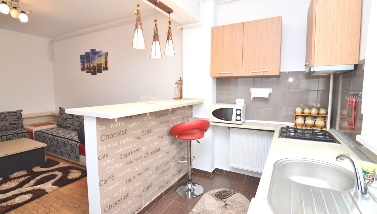5-CRSImobiliare-Agentie-Imobiliara-Oferta-Imchiriere-Apartament-2-Camere-Berceni-Dimitrie Leonida