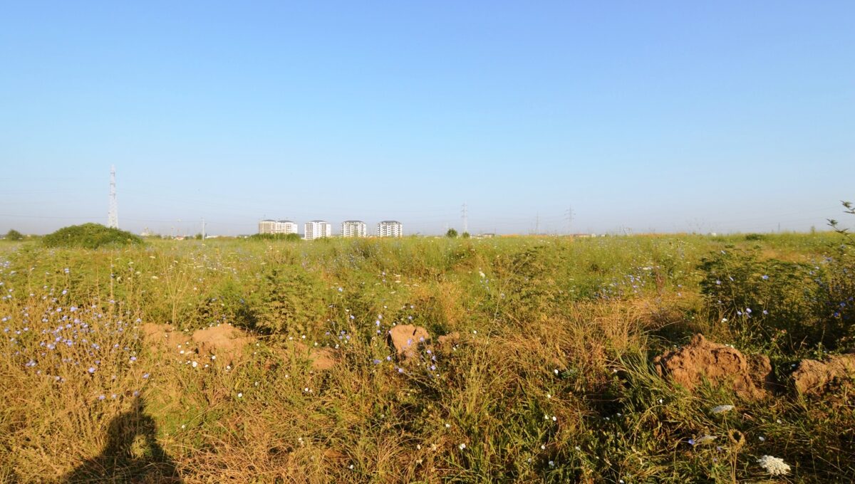 4-CRSImobiliara-Agentie-Imobiliara-Oferta-Vanzare-Teren-Dobroesti