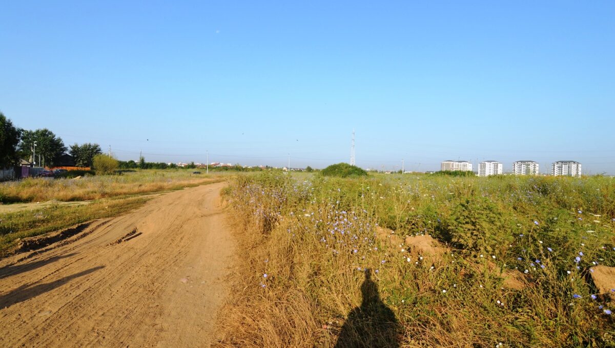 5-CRSImobiliara-Agentie-Imobiliara-Oferta-Vanzare-Teren-Dobroesti