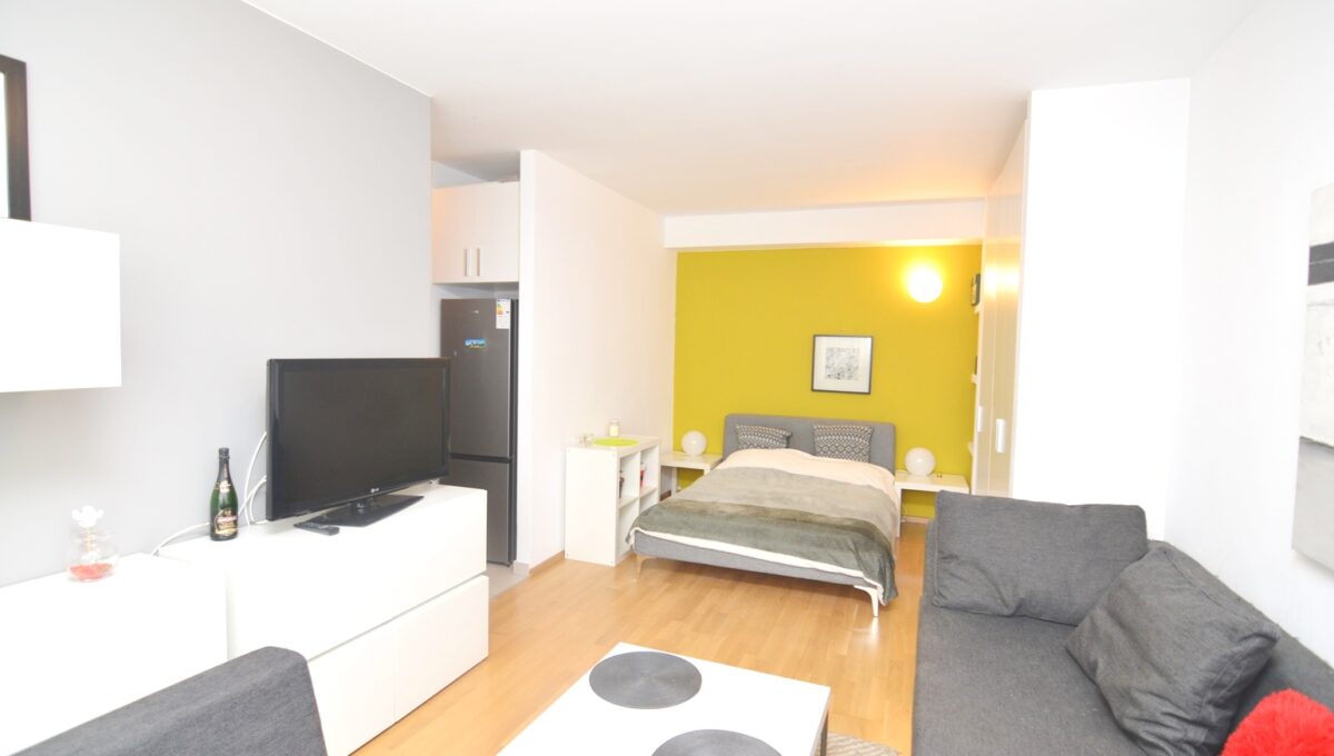 3-CRSImobiliare-Agentie-Imobiliara-Oferta-Vanzare-Studio-Baneasa-Sisesti